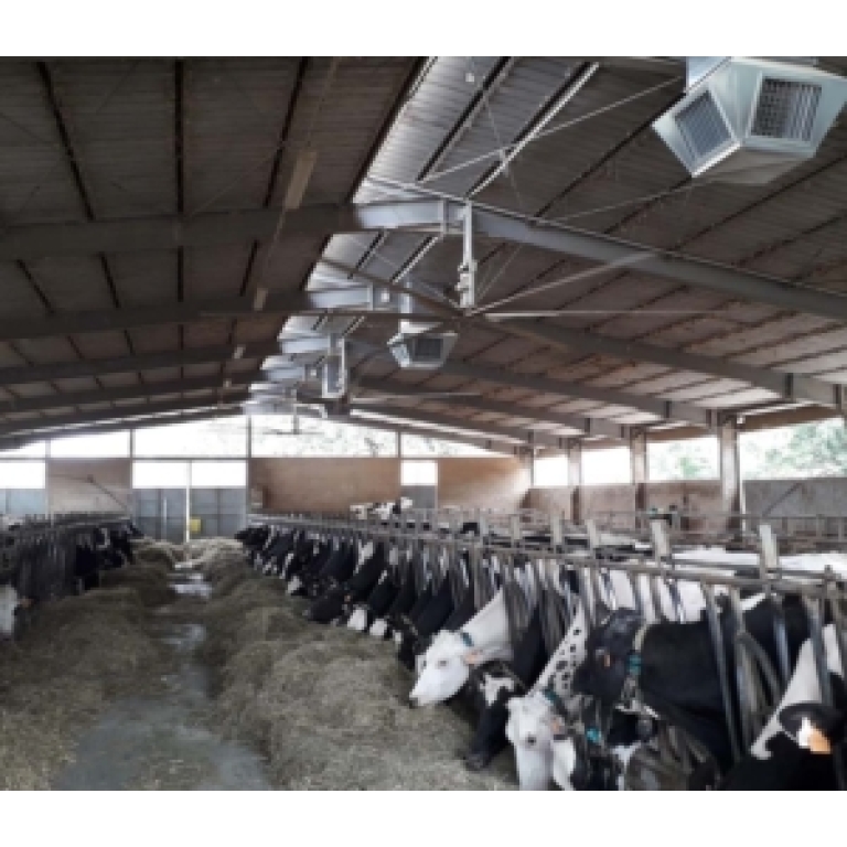 Klimatyzer Master BCM 511 Top